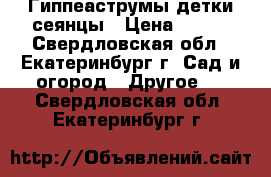 Гиппеаструмы детки сеянцы › Цена ­ 150 - Свердловская обл., Екатеринбург г. Сад и огород » Другое   . Свердловская обл.,Екатеринбург г.